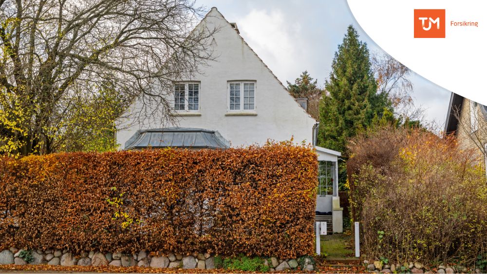 Billede til nyheden Er dit hus og have rustet til storm?